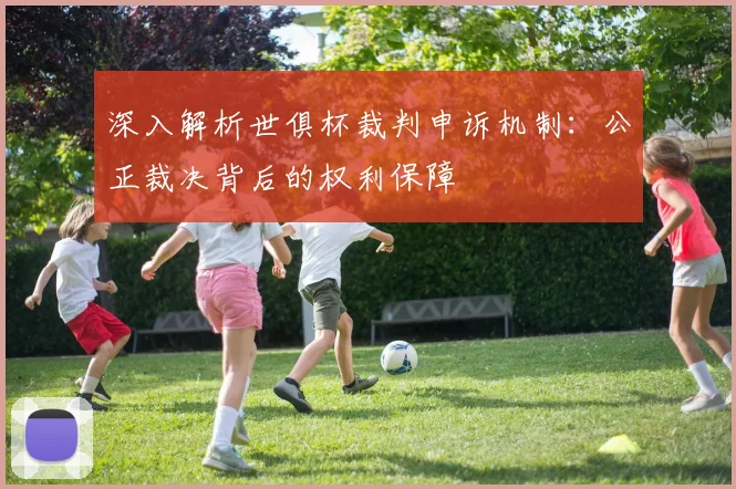 深入解析世俱杯裁判申诉机制：公正裁决背后的权利保障