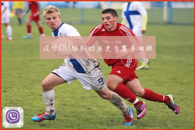 辽宁CBA球队的历史与赛季回顾