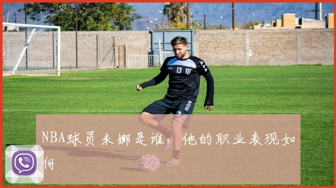 NBA球员米娜是谁，他的职业表现如何