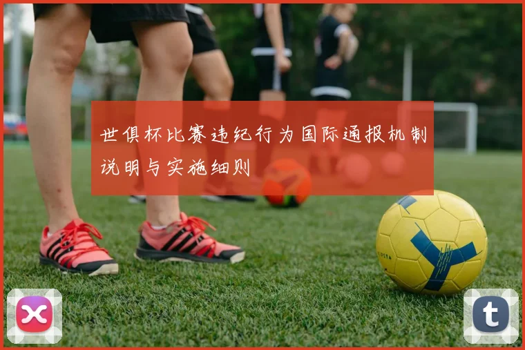 世俱杯比赛违纪行为国际通报机制说明与实施细则