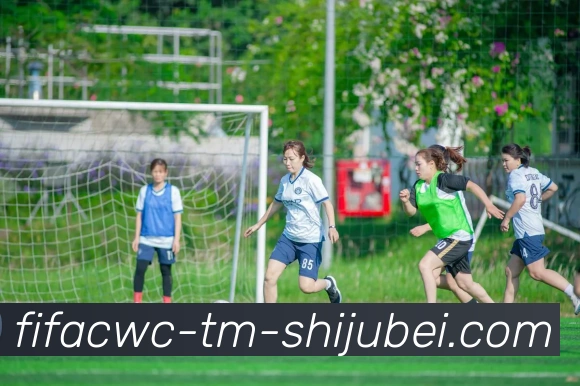 世界杯直播品牌故事